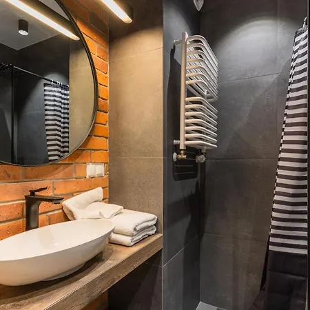 Homely Place Koziolki - Stary Rynek Apartment *