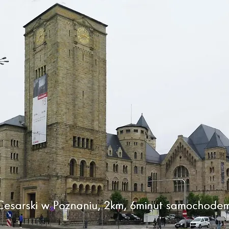 Lägenhet Mellow Stay 33 Poznań