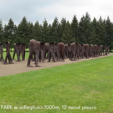 شقة Homely Place Koziolki - Stary Rynek